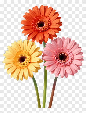 Colorful Flower Bouquet PNG