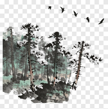 Forest With Tall Trees And Birds PNG