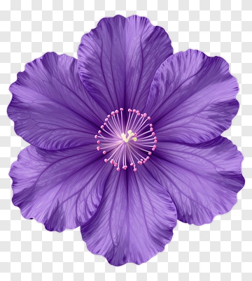 Purple Flower PNG