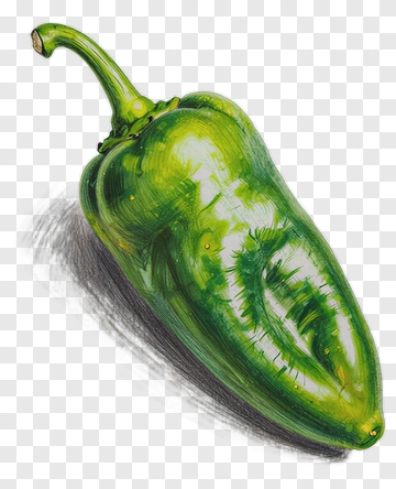 Green Jalapeño Pepper PNG