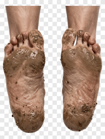 Dirty Feet With Mud PNG