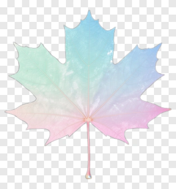 Colorful Maple Leaf PNG