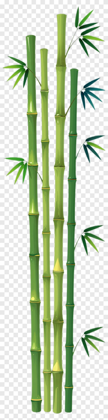 Bamboo Stalks With Green Leaves PNG