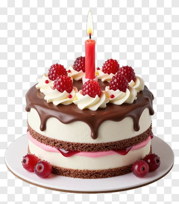 Chocolate Cake With Raspberries And A Candle PNG