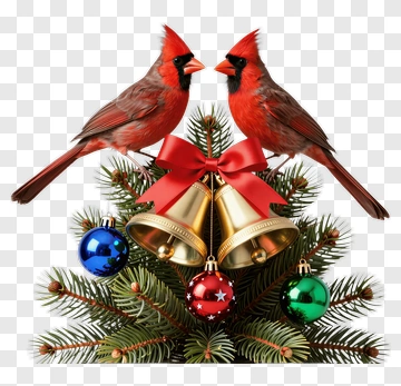Christmas Cardinals With Bells And Ornaments PNG