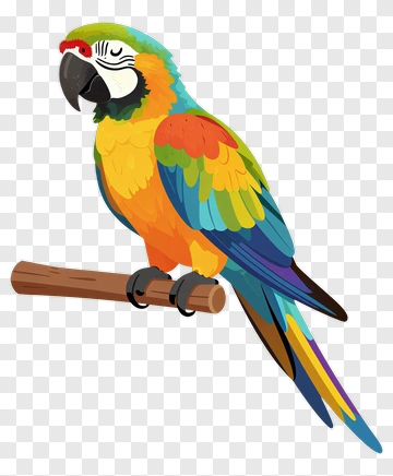Colorful Parrot Perched On A Branch PNG