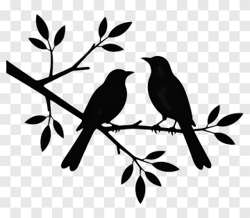 Silhouette Birds Sitting On A Branch PNG