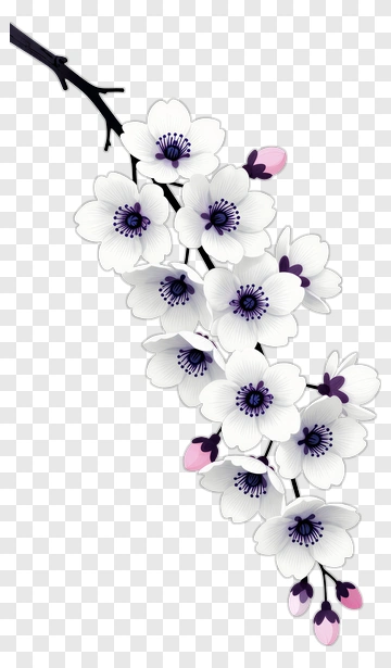 White Cherry Blossom Branch PNG