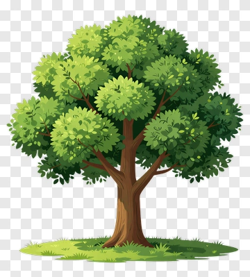 Colorful Tree PNG