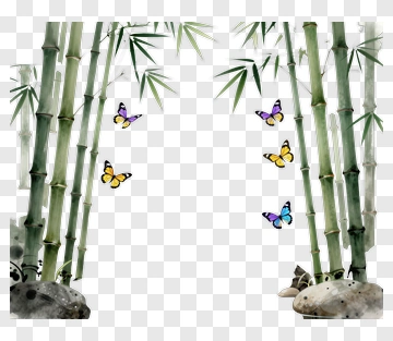 Bamboo Forest With Butterflies PNG