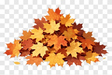 Colorful Autumn Leaves Pile PNG