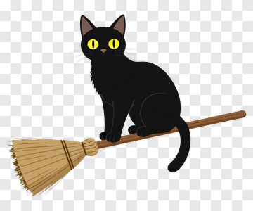 Cartoon Black Cat Sitting On A Broom PNG