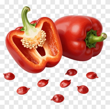 Red Bell Pepper With Seeds PNG