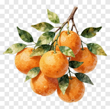 Orange Branch With Leaves PNG