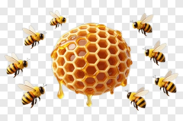 Honeycomb With Bees PNG