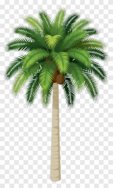 Felt Palm Tree PNG