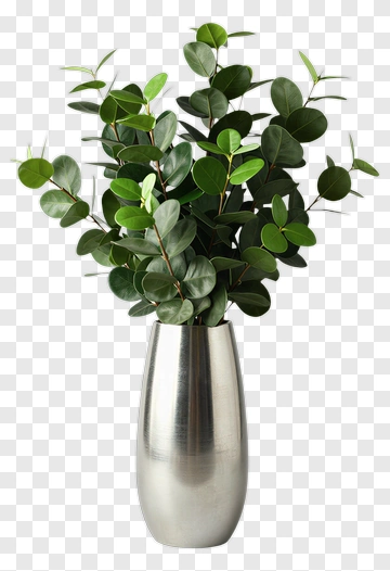 Eucalyptus Plant In Silver Vase PNG