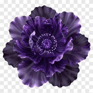 Purple Flower With Intricate Petals PNG