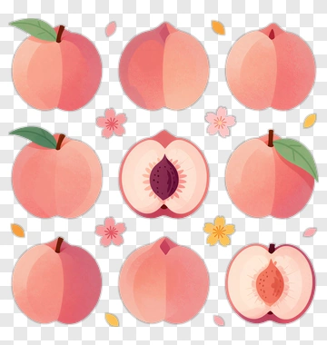 Colorful Peach Illustration With Floral Accents PNG