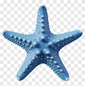 Blue Starfish PNG