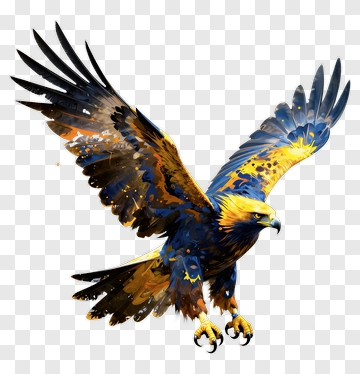 Colorful Eagle In Flight PNG
