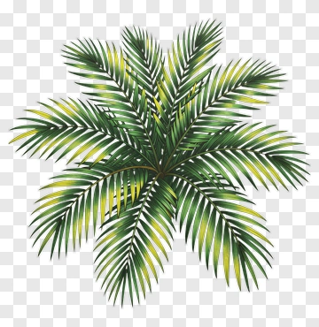 Colorful Palm Tree PNG