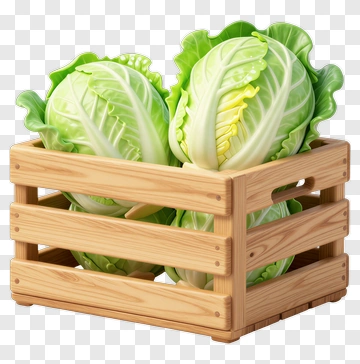 Wooden Crate Filled With Cabbage PNG