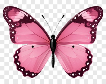 Pink Butterfly PNG