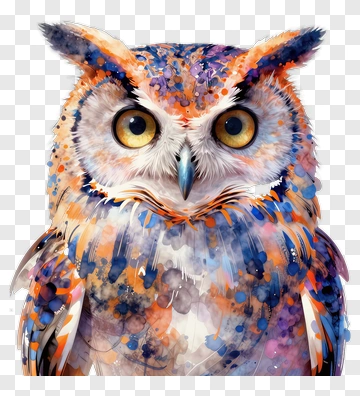 Colorful Owl Portrait PNG