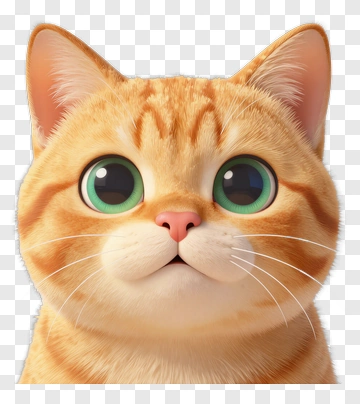 Cartoon Orange Cat Face PNG