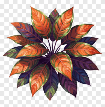 Colorful Leaf Arrangement PNG