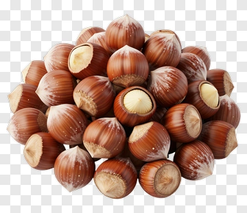 Pile Of Hazelnuts PNG