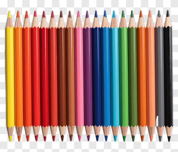 Colorful Set Of Pencils PNG