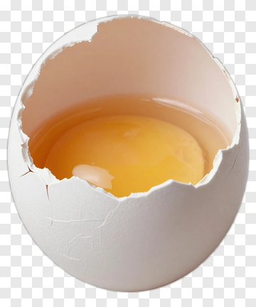 Eggshell With Broken Egg PNG