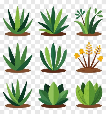 Collection Of Green Plants In Various Styles PNG