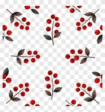 Red Berries With Leaves Pattern PNG