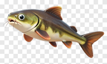 3D Catfish With Distinctive Features PNG
