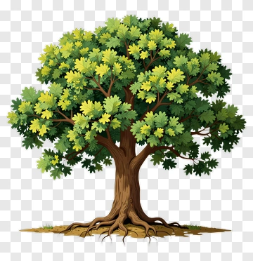 Colorful Tree PNG