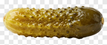 Pickle PNG
