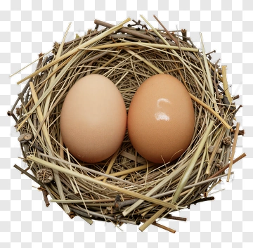 Nest With Two Eggs PNG
