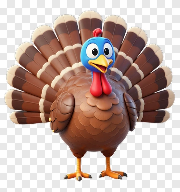3D Cartoon Turkey PNG