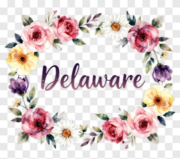 Floral Frame With Delaware Text PNG