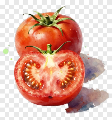 Watercolor Tomato PNG