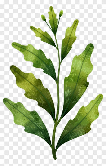Green Leaf Branch PNG