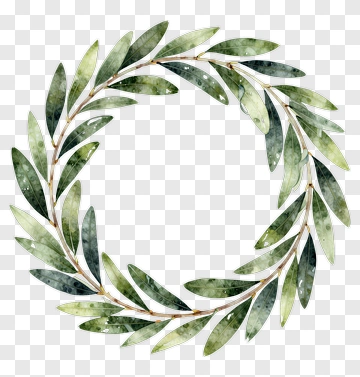 Watercolor Olive Leaf Wreath PNG