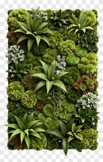 Lush Green Vertical Garden PNG