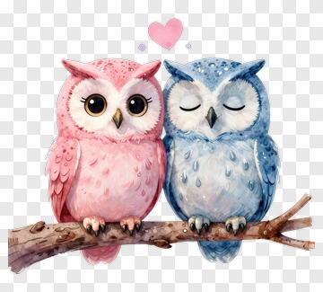 Cute Cartoon Owls Sitting Together On A Branch PNG