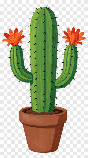 Cactus With Orange Flowers In A Pot PNG