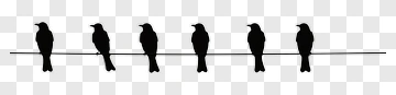 Silhouette Birds On A Wire PNG