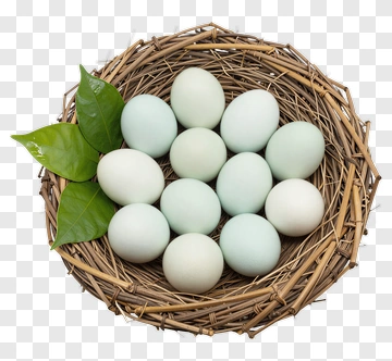 Nest With Blue And Green Eggs PNG